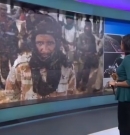 Hametti Mosaic Featured on Aljazeera News